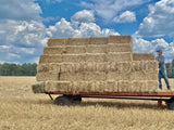 Wheat Straw Bale