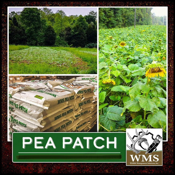 WMS Summer Pea Patch