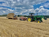 Wheat Straw Bale