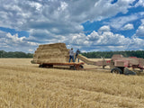 Wheat Straw Bale