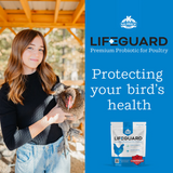Lifeguard Poultry Supplement