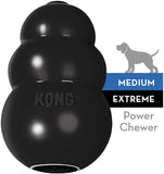 KONG Extreme Dog Toy