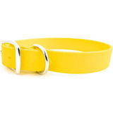 Zeta Ring in Center with Dee 1" Wide