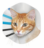 KONG EZ Clear Collars