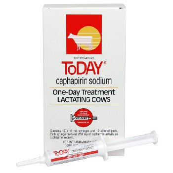 Today Cephapirin Sodium for Lactating Cows, 10ml