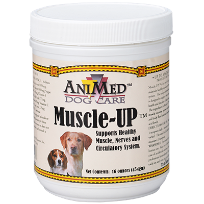 Muscle-Up for Dogs
