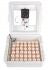Little Giant Incubator, Circulated Air