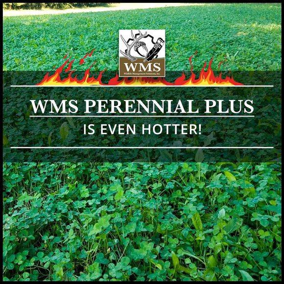 WMS Perennial Plus