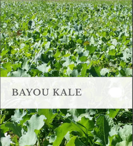 WMS Bayou Kale, 3lb