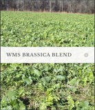 WMS Brassica Blend