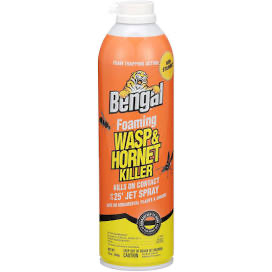 Bengal Foaming Wasp & Hornet Killer