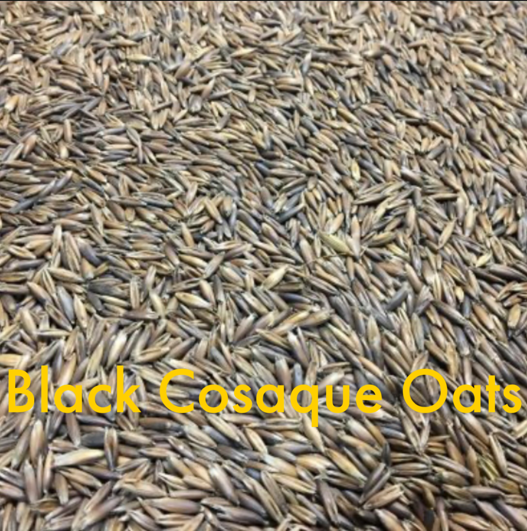 Fall Game Mix G&DFarms