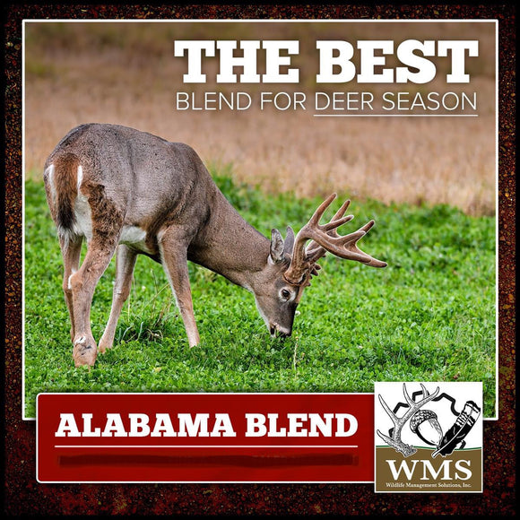 best seed to plant for deer in alabama WMS Alabama Blend, 50lb – G&DFarms