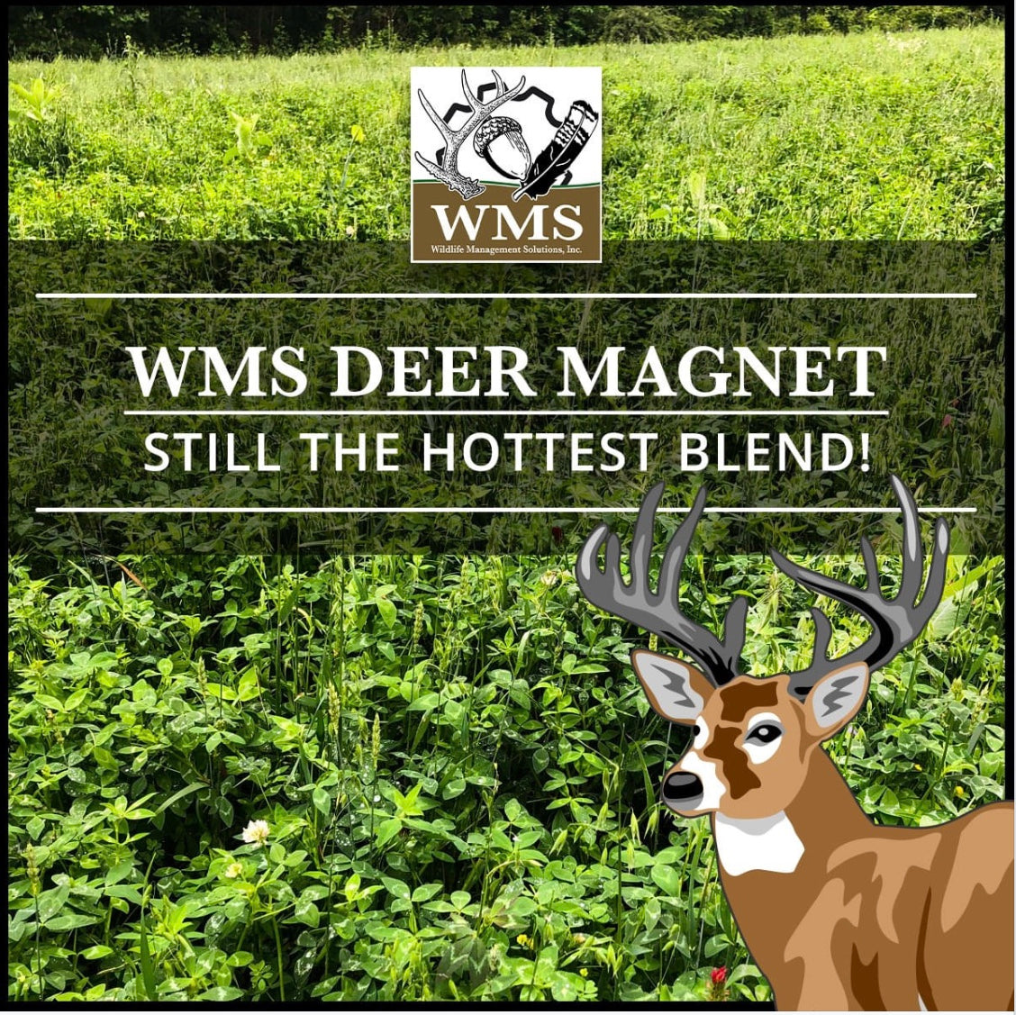 WMS Alabama Blend, 50lb G&DFarms