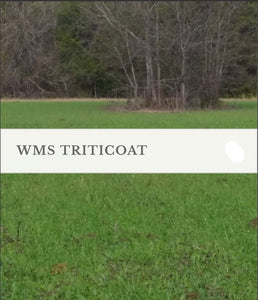 WMS TriticOat, 50lb