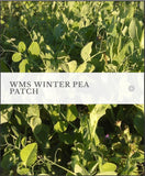 WMS Winter Pea Patch, 50lb