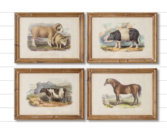 Vintage Farm Animal Prints