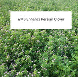 WMS eNhance Persian Clover