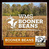 WMS Booner Soybean Glyphosate Tolerant