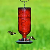 Hummingbird Feeders, Assorted