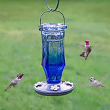 Hummingbird Feeders, Assorted