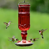 Hummingbird Feeders, Assorted