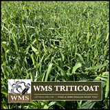 WMS TriticOat, 50lb
