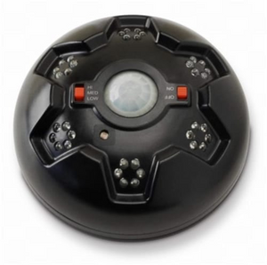 Swine Shine LED Hog Light