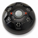 Swine Shine LED Hog Light