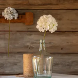 Farmhouse Stems & Planters