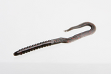 Zoom U-Tale Worm, 6 3/4”