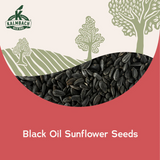 Black Oil Sunflower Seed