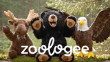 Zoology Stuffed Animals
