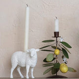 Candle Holder, Assorted