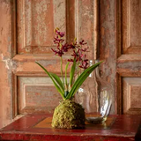 Farmhouse Stems & Planters