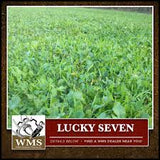 WMS Lucky Seven, 50lb