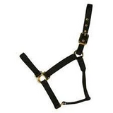 Horse Halter -Colt, Pony, Yearling