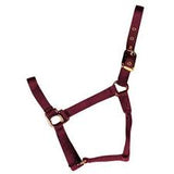Horse Halter- S,M,L