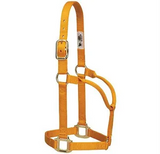 Horse Halter- S,M,L