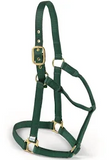 Horse Halter -Colt, Pony, Yearling
