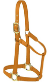 Horse Halter -Colt, Pony, Yearling