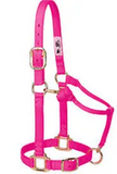 Horse Halter -Colt, Pony, Yearling