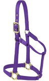 Horse Halter -Colt, Pony, Yearling