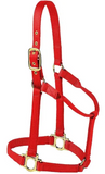 Horse Halter -Colt, Pony, Yearling
