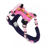 Coastal K9 Explorer Harness