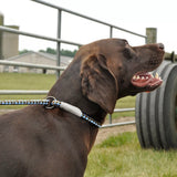 K9 Explorer Reflective Slip Leash