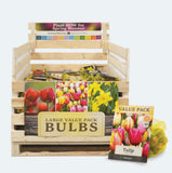 Flowering Bulbs