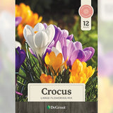 Flowering Bulbs