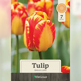 Flowering Bulbs