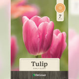 Flowering Bulbs